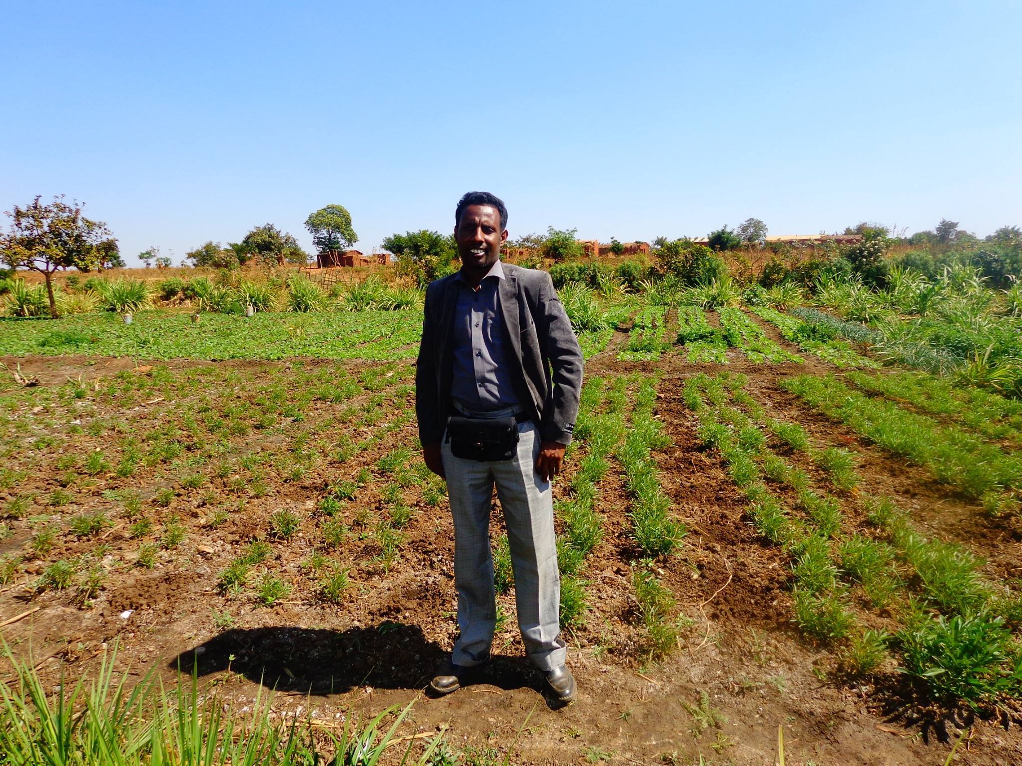 HORT field photo 10