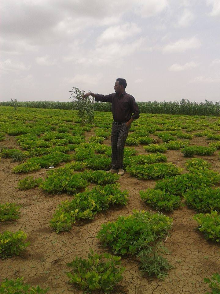 HORT field photo 12