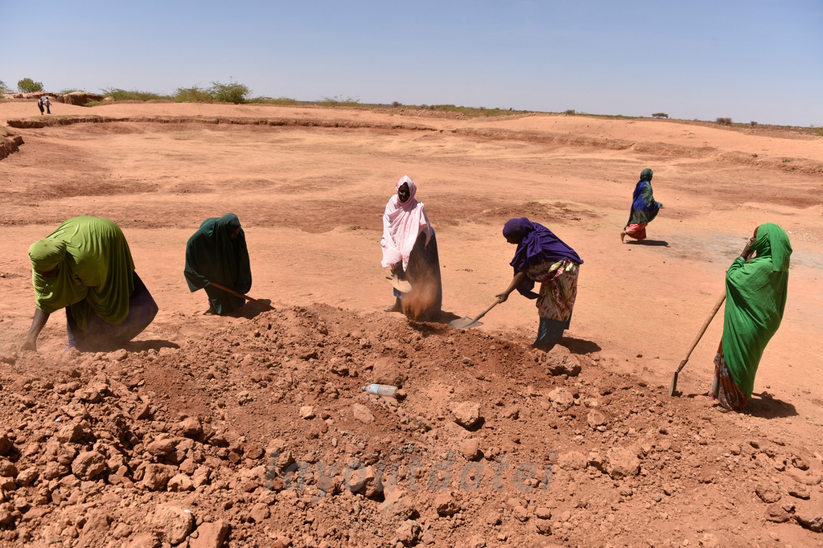 HORT impact in communities